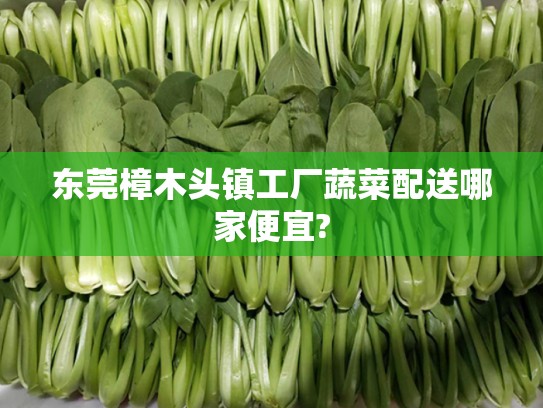 樟木頭鎮(zhèn)工廠蔬菜配送，哪家更便宜又新鮮？