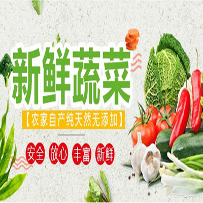 清新區(qū)食材批發(fā)與蔬菜配送服務(wù)報(bào)價(jià)指南 大型市場(chǎng)直供，食堂送菜無憂